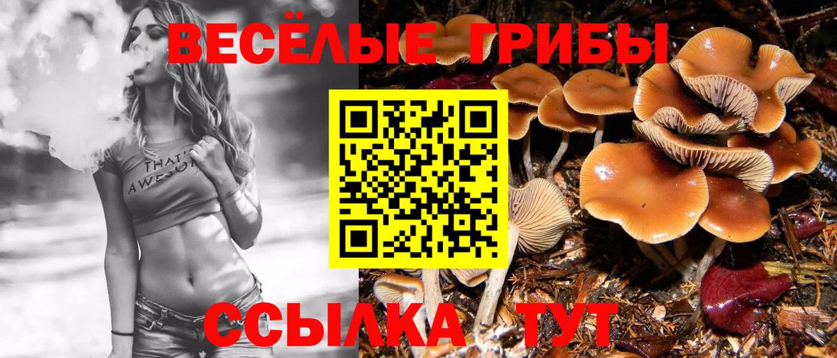 Ленинск-Кузнецкий  Псилоцибиновые грибы ЛСД  Вход с VPN 
