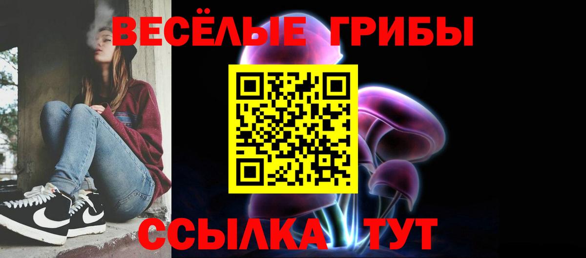 Галлюциногенные грибы GOLDEN TEACHER Ленинск-Кузнецкий